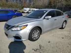 Lot #3024833417 2016 NISSAN ALTIMA 2.5