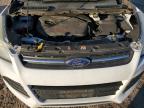 Lot #3023774898 2014 FORD ESCAPE SE