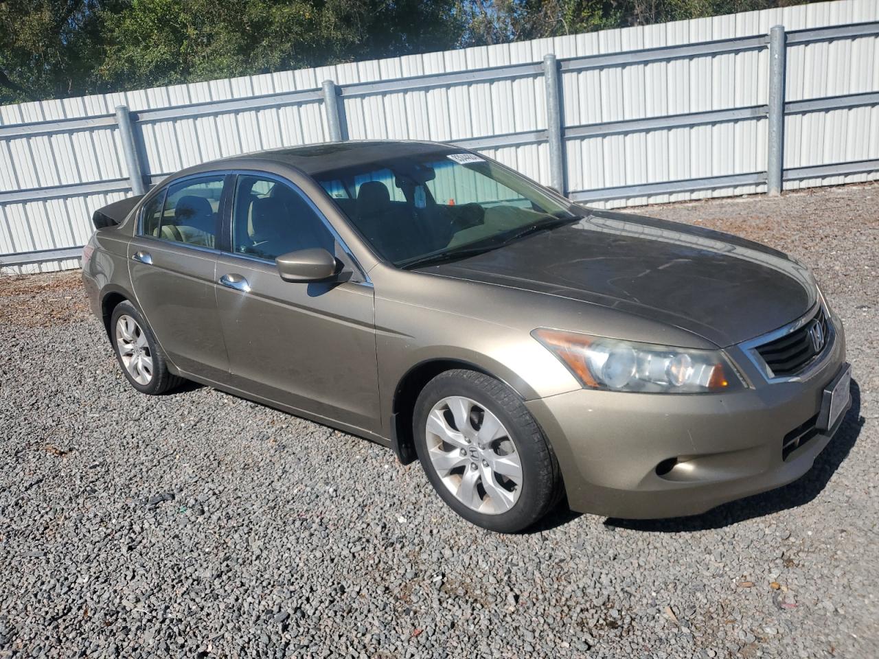 Lot #3030644123 2008 HONDA ACCORD EXL