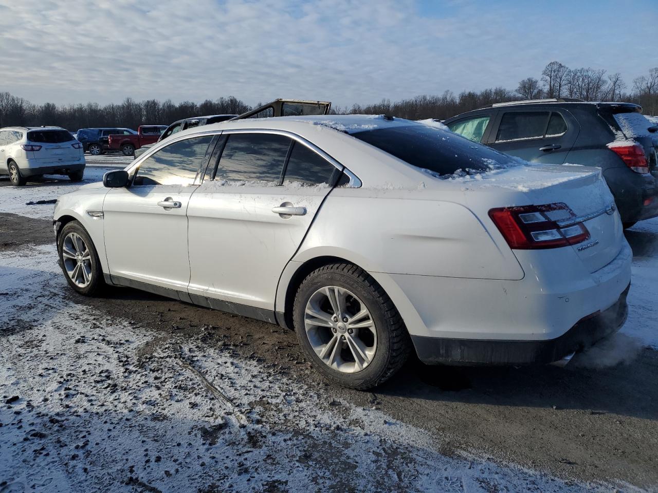 Lot #3027009791 2015 FORD TAURUS SEL