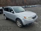 Lot #3024826511 2010 SUBARU FORESTER 2