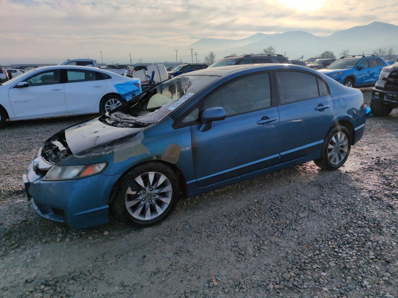 Lot #3038925045 2009 HONDA CIVIC EXL