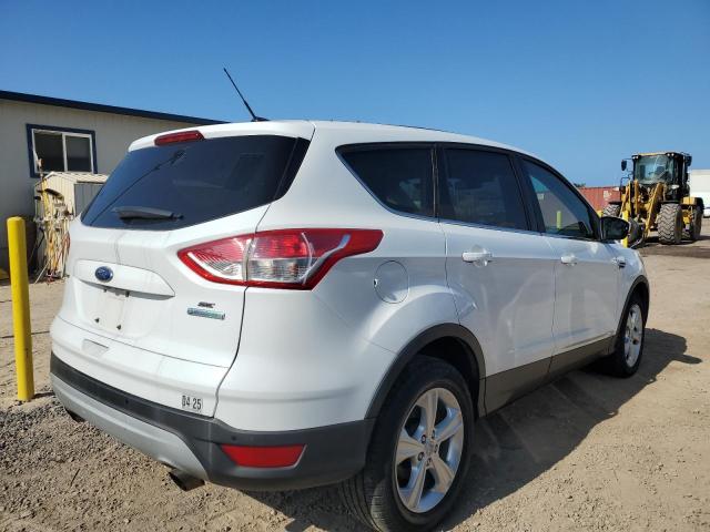 FORD ESCAPE SE 2014 white 4dr spor gas 1FMCU0GX9EUC61756 photo #4