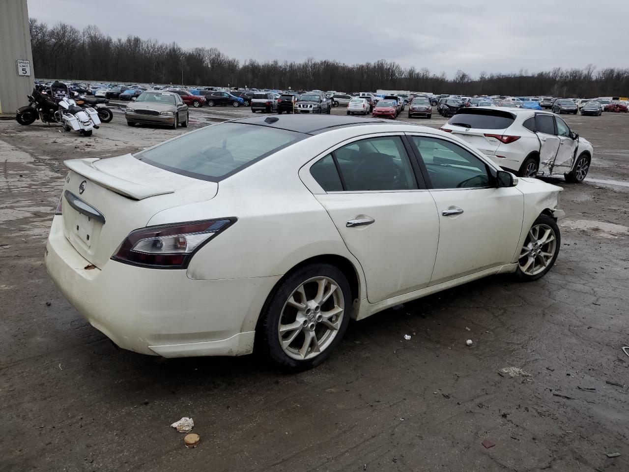 Lot #3030637121 2013 NISSAN MAXIMA S