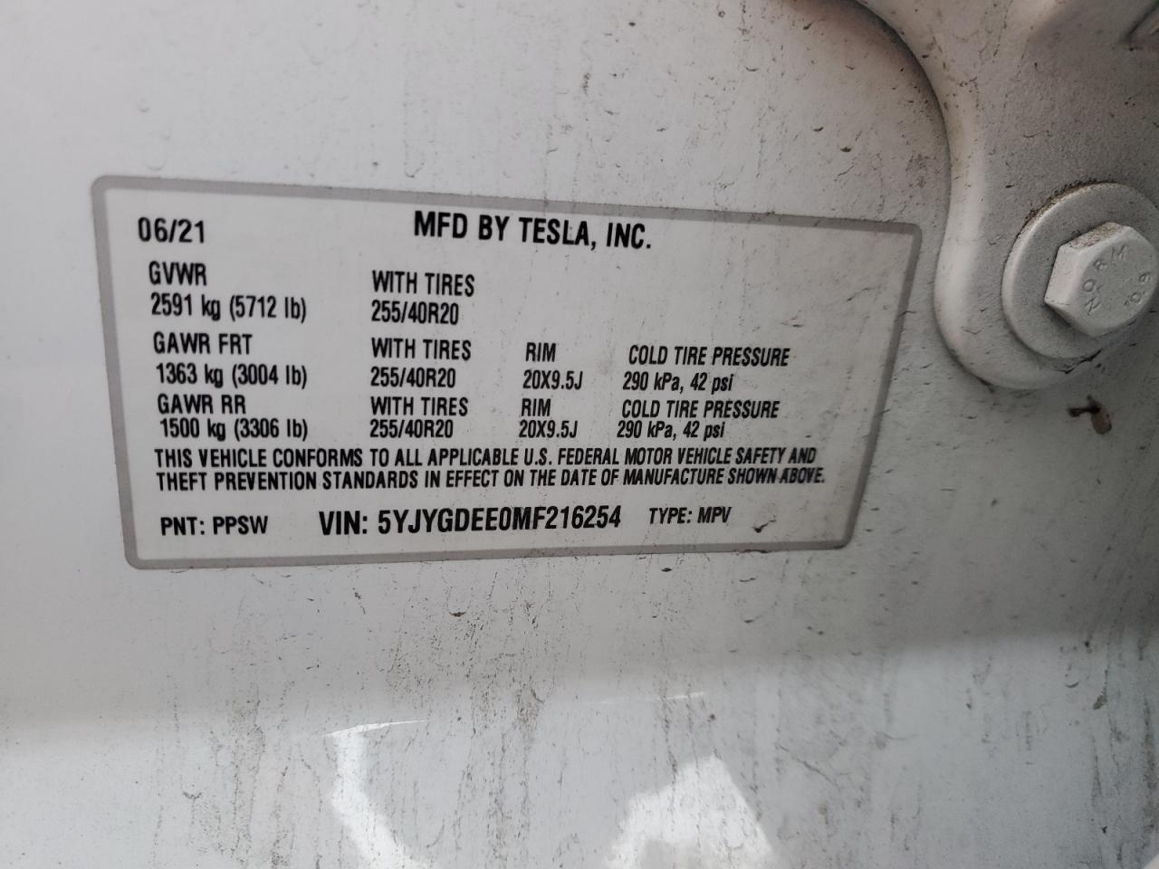 Lot #3030427502 2021 TESLA MODEL Y