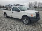 Lot #3030805463 2013 FORD F150