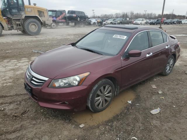 HONDA ACCORD EXL