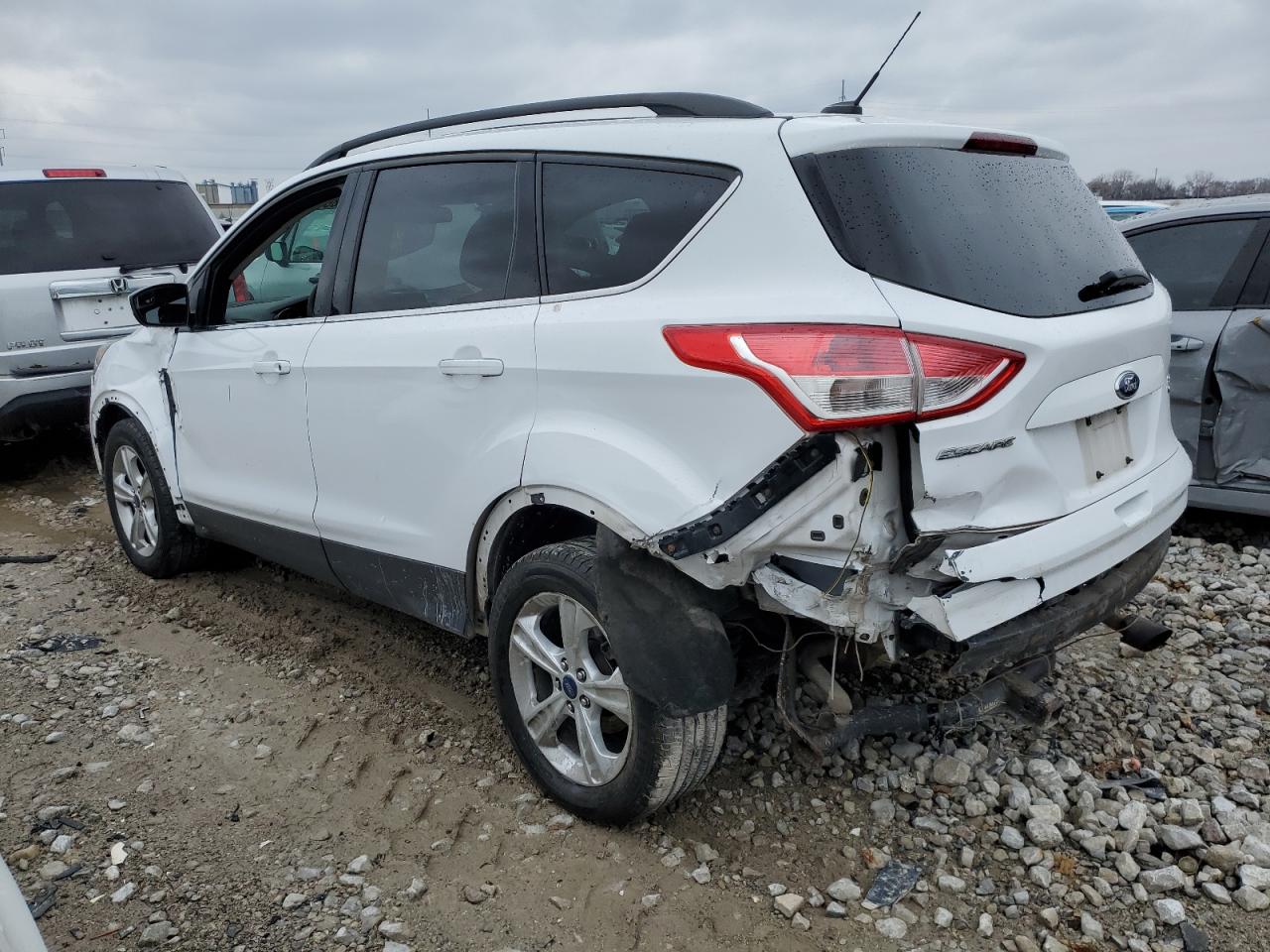 Lot #3034283126 2014 FORD ESCAPE SE