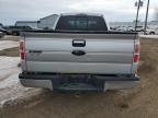 Lot #3025835316 2009 FORD F150 SUPER