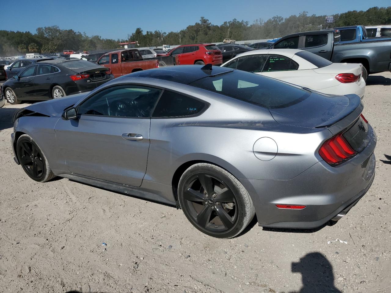 Lot #3031392694 2022 FORD MUSTANG