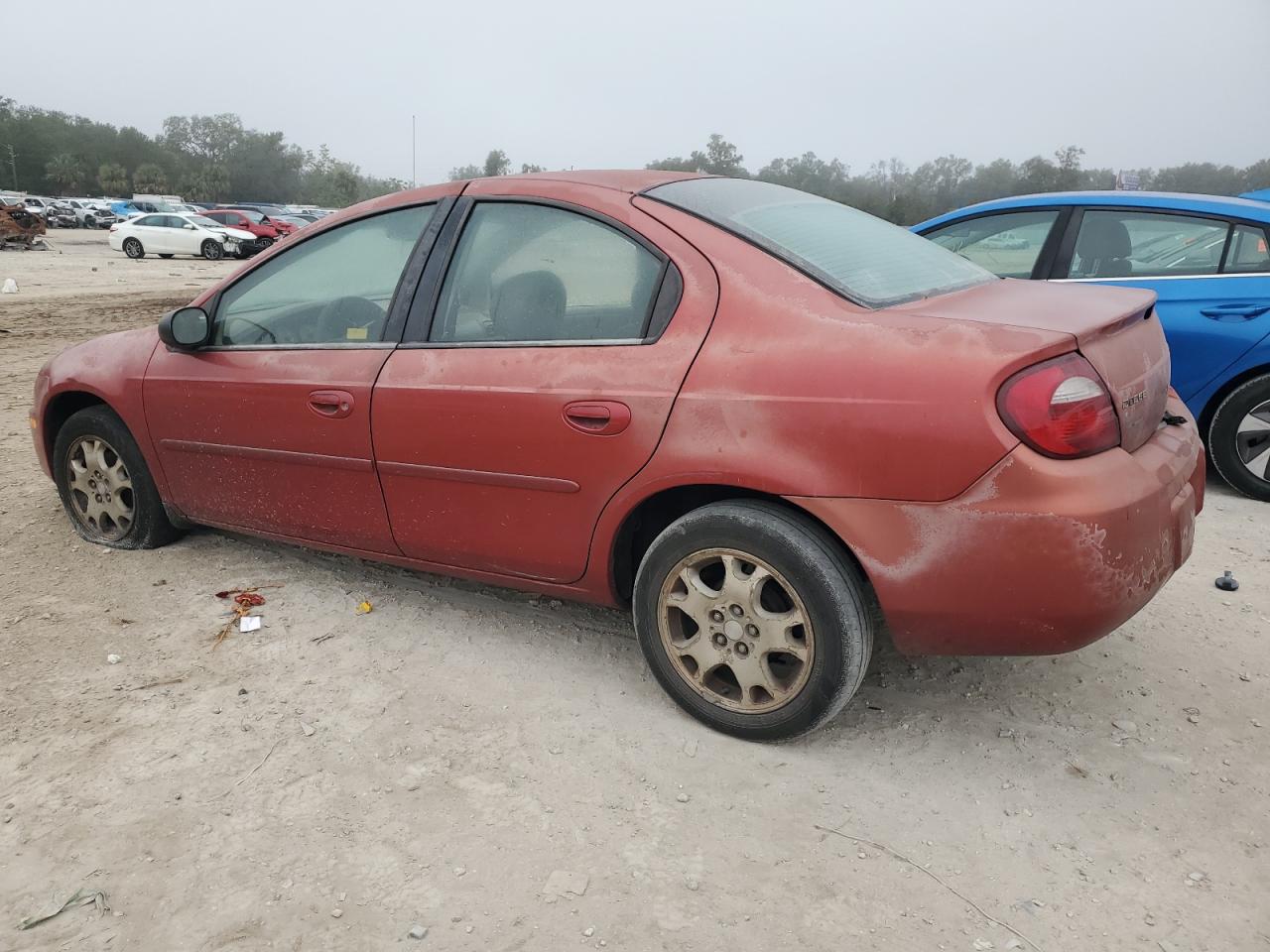 Lot #3037047762 2005 DODGE NEON SXT