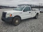 Lot #3030805463 2013 FORD F150