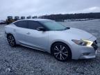 Lot #3034356086 2016 NISSAN MAXIMA 3.5