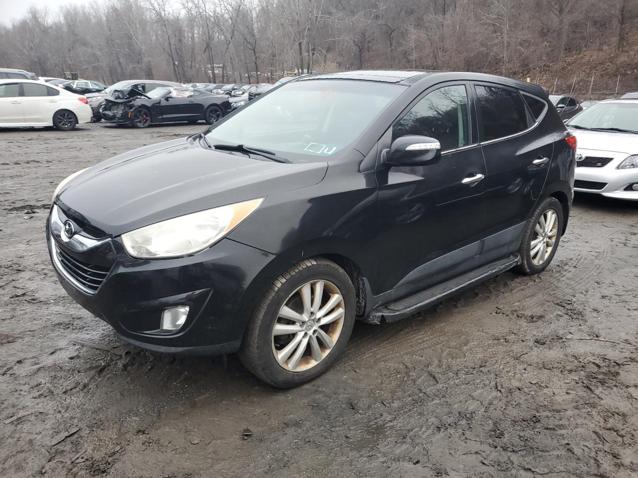 Lot #3028272804 2011 HYUNDAI TUCSON