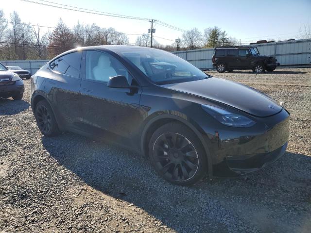 2023 TESLA MODEL Y 7SAYGDEE1PA196293