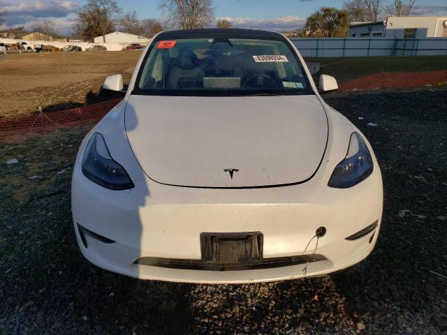 2023 TESLA MODEL Y - 7SAYGDEE5PF823323
