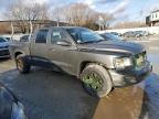 Lot #3024855391 2010 DODGE DAKOTA SXT