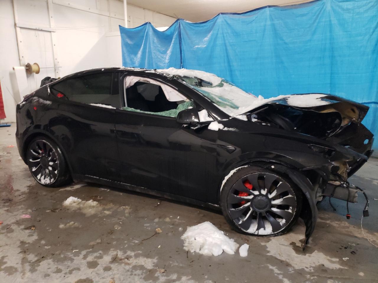 Lot #3029654075 2021 TESLA MODEL Y