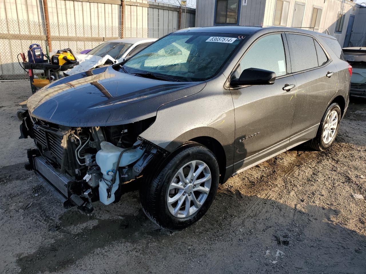 Lot #3024565605 2019 CHEVROLET EQUINOX LS