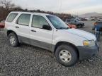 Lot #3024659614 2007 FORD ESCAPE XLS