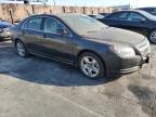 Lot #3029907250 2009 CHEVROLET MALIBU 1LT