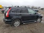 Lot #3028419223 2007 HONDA CR-V EXL