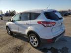 Lot #3023905280 2014 FORD ESCAPE SE