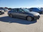 Lot #3025102245 2013 HONDA ACCORD EXL