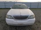 Lot #3057430914 2003 LINCOLN TOWN CAR E