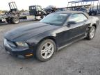 Lot #3022828293 2010 FORD MUSTANG