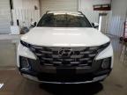 Lot #3045565634 2024 HYUNDAI SANTA CRUZ