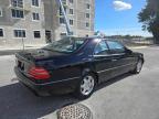 Lot #3023476322 1998 MERCEDES-BENZ CL 600