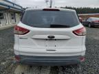 Lot #3024742230 2014 FORD ESCAPE S