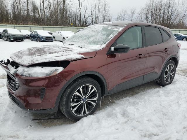 2021 FORD ESCAPE SE #3034290136