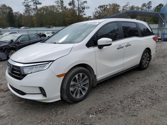 HONDA ODYSSEY EX 2024 white  gas 5FNRL6H66RB018964 photo #1