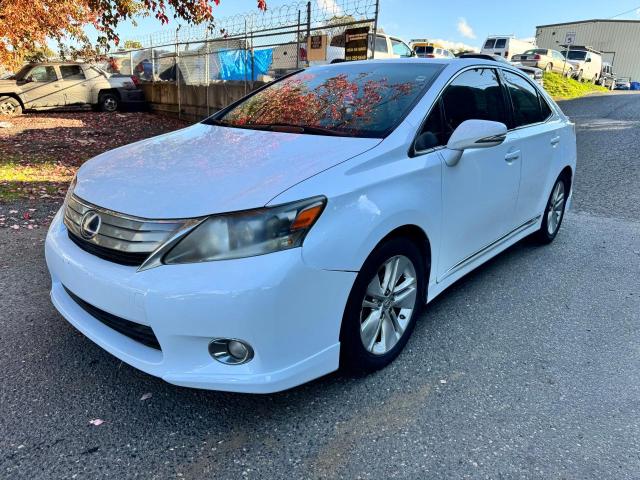 LEXUS HS 250H 2010 white sedan 4d hybrid engine JTHBB1BA0A2007484 photo #3