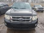 Lot #3041055429 2010 FORD ESCAPE XLT