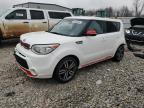 KIA SOUL + photo