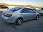 Lot #3024733311 2009 TOYOTA CAMRY BASE