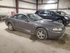 Lot #3028390856 2003 FORD MUSTANG