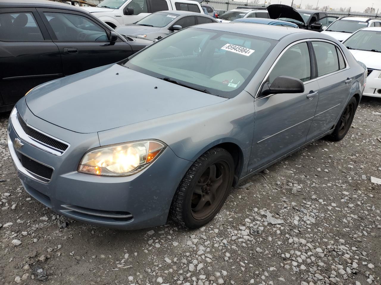 Lot #3034407067 2009 CHEVROLET MALIBU