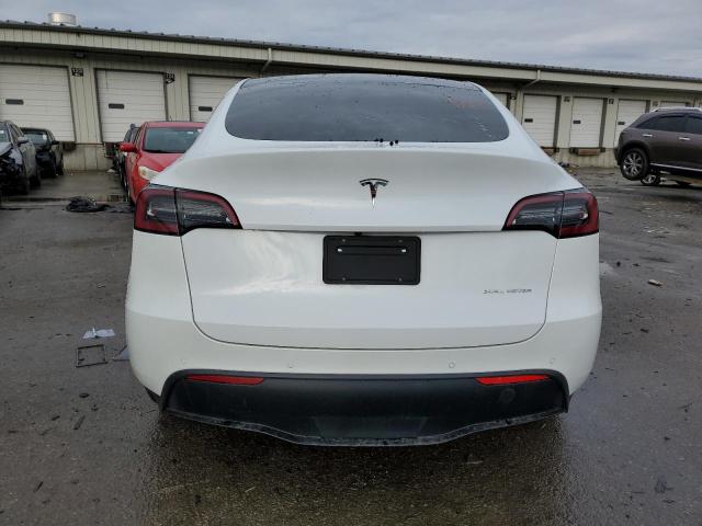 2021 TESLA MODEL Y - 5YJYGDEE7MF255259