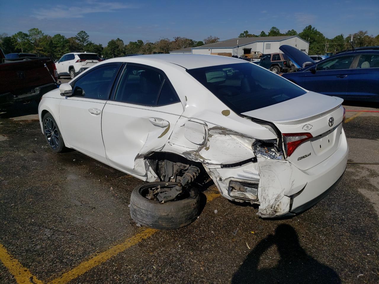 Lot #3024861384 2014 TOYOTA COROLLA L