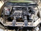 Lot #3025170240 2004 BUICK CENTURY CU