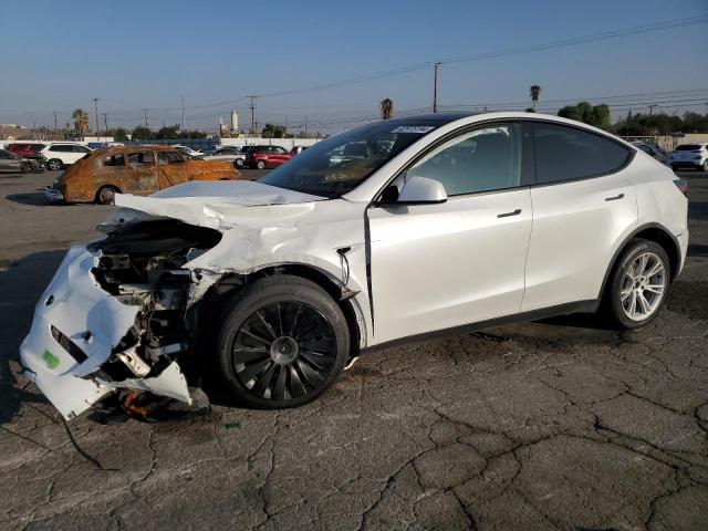 TESLA MODEL Y 2023 white  electric 7SAYGDEE6PA084928 photo #1