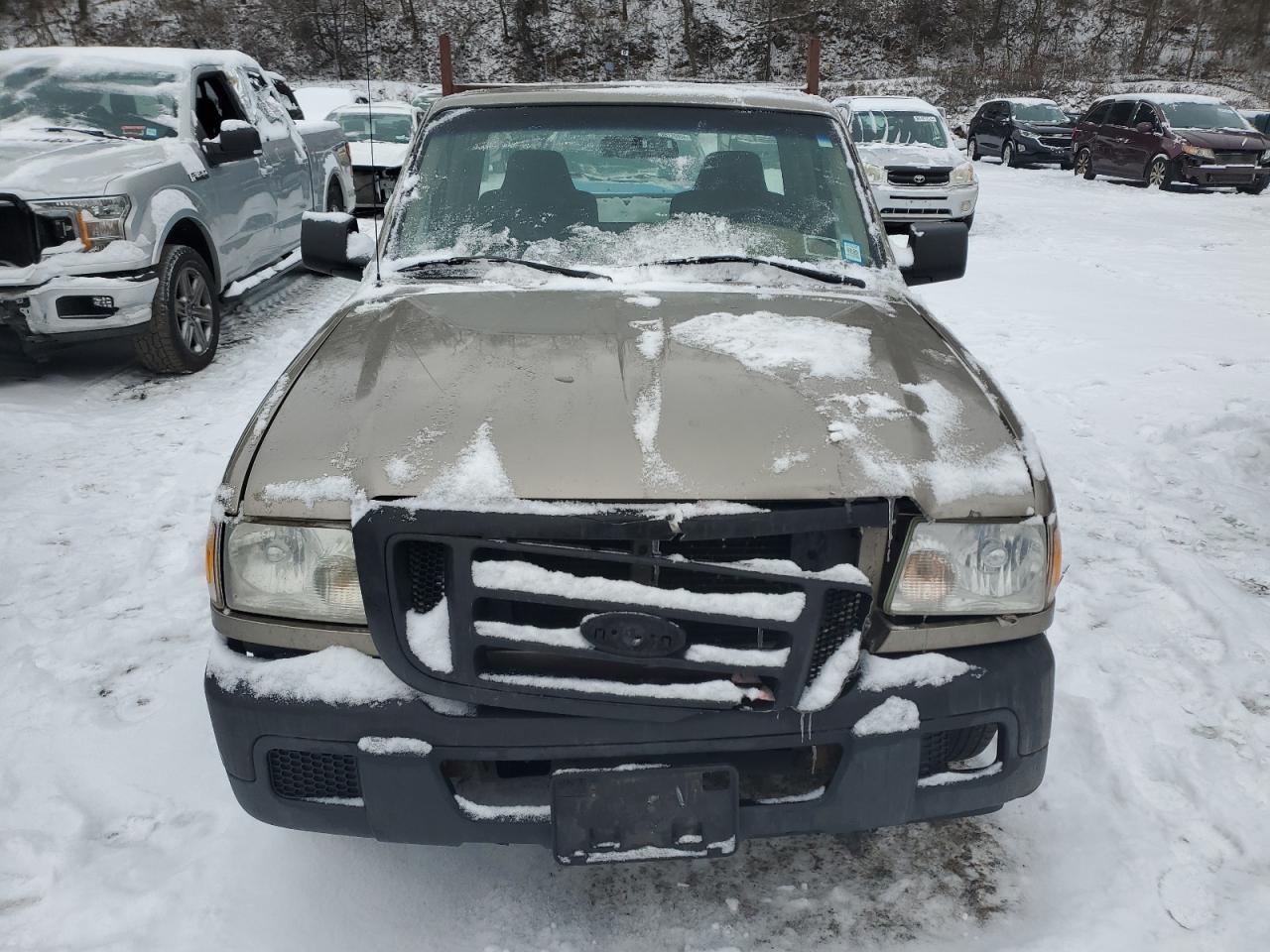 Lot #3034281073 2006 FORD RANGER