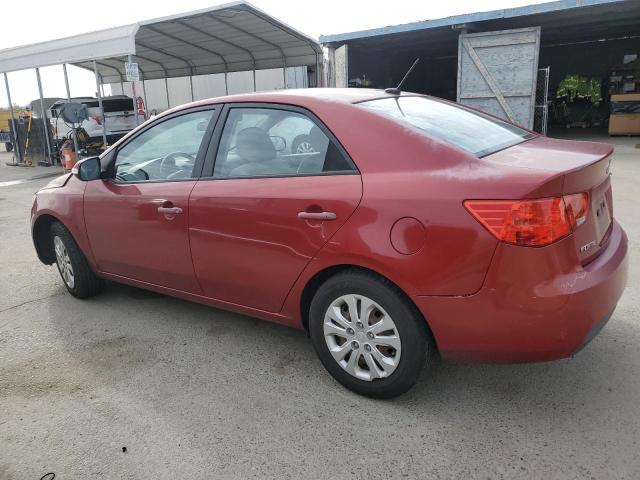 KIA FORTE EX 2010 red  gas KNAFU4A28A5052354 photo #3