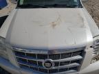 Lot #3034567793 2014 CADILLAC ESCALADE P