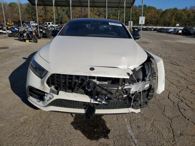 2019 MERCEDES-BENZ CLS AMG 53 - WDD2J6BB3KA042804
