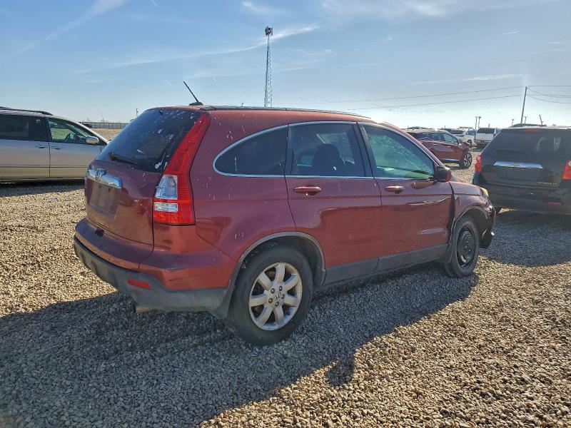 2007 HONDA CR-V EXL #3304887555